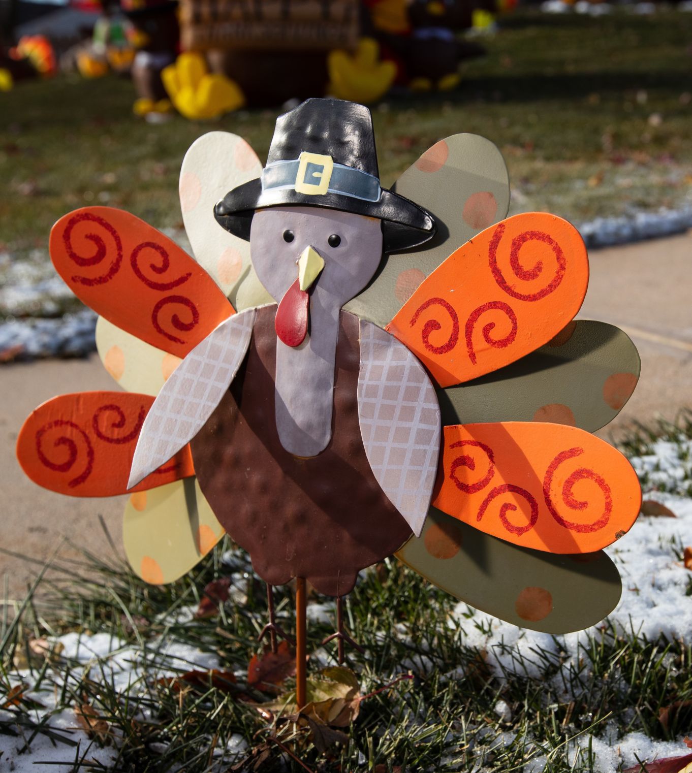 Turkey wars